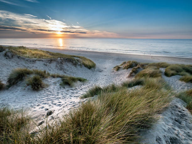 istock White sandy path within marram grass covered dunes leading towards the beach at sunset 1088696310