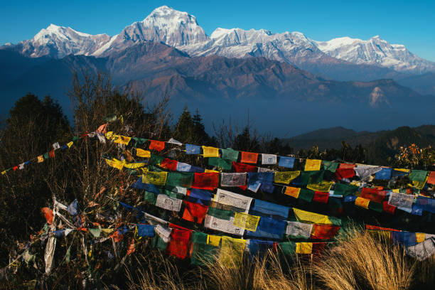 Prayer flags with snowy mountain in the morning at poon hill, Nepal stock photo