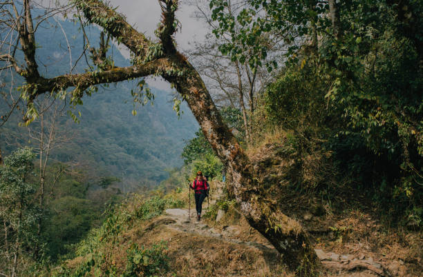 istock Girl Traveler backpacker in mountain forest 1088721562