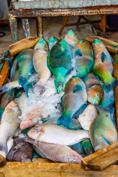 istock Different fish on fish market in a Hurghada city, Egypt 1088727258