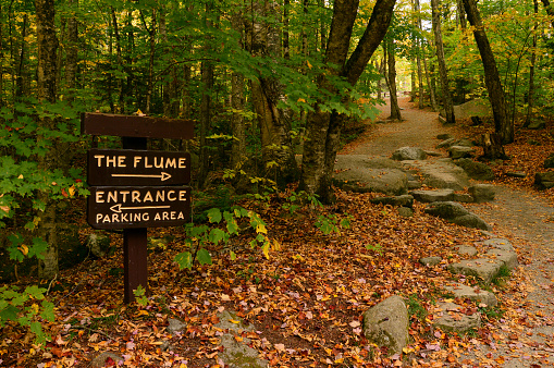 A hiking trail leads to the Flume Gorge in Franconia State Park, New Hampshire