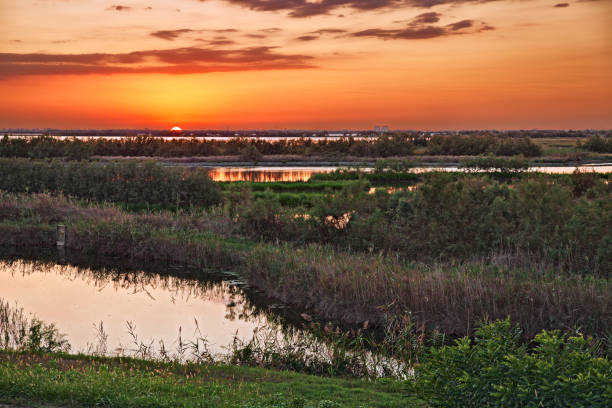 porto viro, rovigo, veneto, italia: laguna nella riserva naturale parco del delta del po - rovigo foto e immagini stock