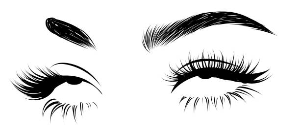 Illustration of woman's sexy expressive  eye roll with perfectly shaped eyebrows and full lashes. Hand-drawn Idea for business visit card, typography vector. Perfect salon look.Hollow style Illustration of woman's sexy expressive  eye roll with perfectly shaped eyebrows and full lashes. Hand-drawn Idea for business visit card, typography vector. Perfect salon look.Hollow style rolling eyes stock illustrations