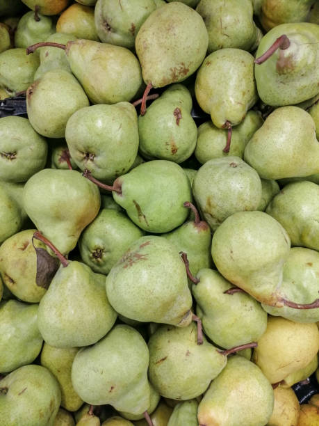 Packham Pears Ripen 60+ Packham Pear Stock Photos, Pictures & Royalty-Free Images - iStock