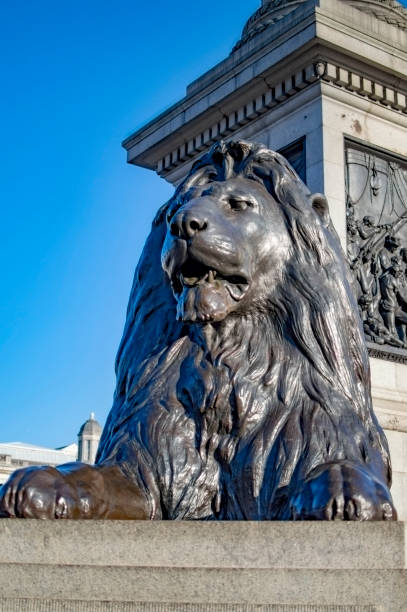 Black lion statue at trafalgar square in london