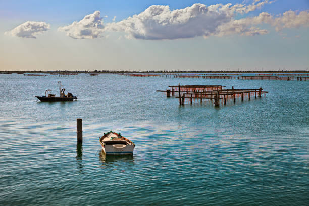 porto tolle, rovigo, veneto, itália: paisagem marinha do mar adriático no parque delta po - rovigo - fotografias e filmes do acervo