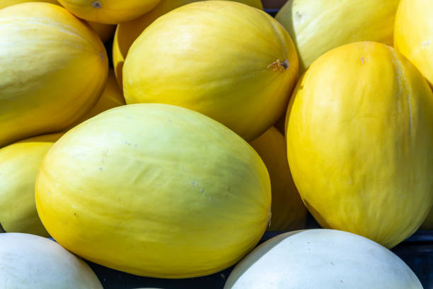 istock Golden Honeydew Melon 1088743250