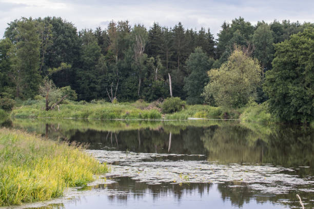 istock The river Naab in bavaria 1088747338