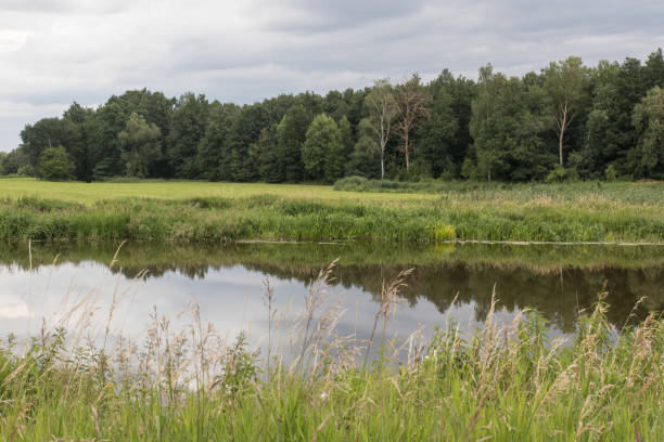 istock The river Naab in bavaria 1088747342