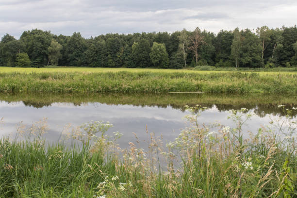 istock The river Naab in bavaria 1088747386