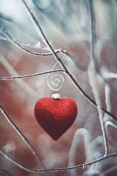 istock Heart shaped decorations on frosty branches 1088751580