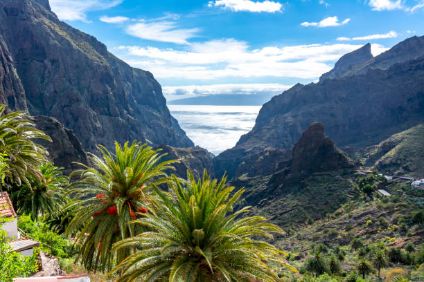 istock Masca canyon, Tenerife, Canary islands, Spain 1088751642