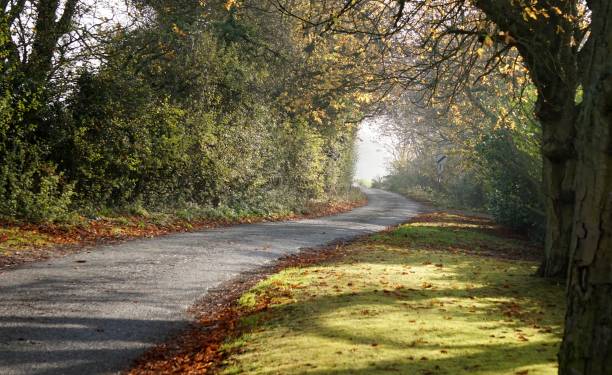 istock Curvy treelined country road. 1088753722