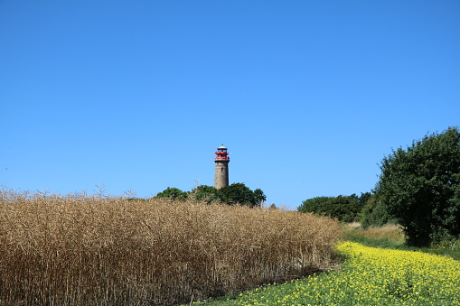 New lighthouse  and at rape field Cape Arkona on Island Rügen, Germany. Baltic Sea