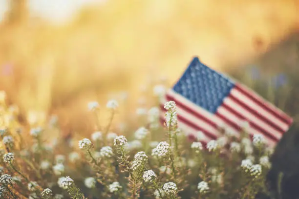 American flag in warm sunshine with wildflowers