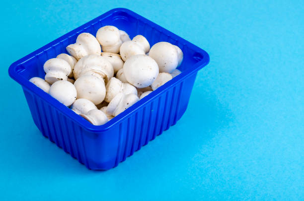 Fresh little white champignons in blue plastic form. Studio Photo