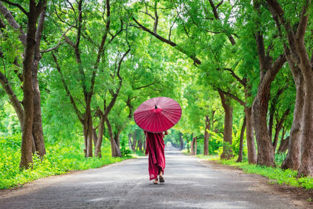 Myanmar Burmese Monk Walking Along Green Alley Burmese buddhist Monk in typical red religious veil and red parasol walking along green alley in Old Bagan, Myanmar, South East Asia. bagan archaeological zone stock pictures, royalty-free photos & images