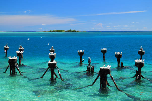 istock Dry Tortugas National Park 1088769974