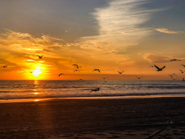 istock Venice Sunset over the Pacific Ocean 1088788394