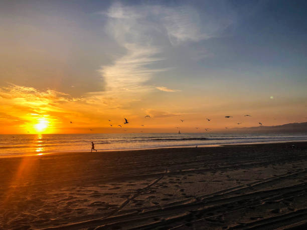 istock Venice Sunset over the Pacific Ocean 1088788400