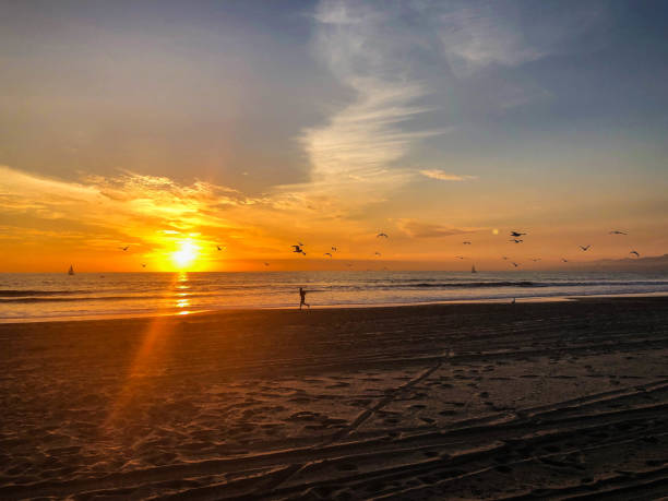 istock Venice Sunset over the Pacific Ocean 1088788408