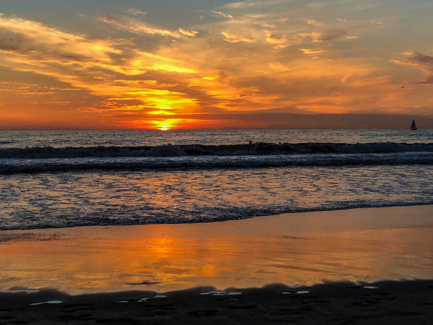 istock Venice Sunset over the Pacific Ocean 1088788464