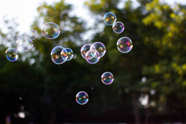 istock Bubbles in the park outdoor on the sunset 1088795550