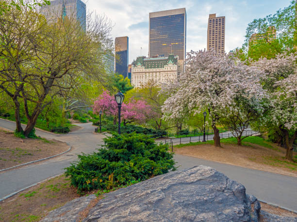 istock Central Park, New York City in spring 1088799082