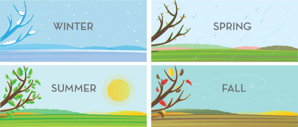 illustrazioni stock, clip art, cartoni animati e icone di tendenza di quattro stagioni serie di sfondi paesaggistici - four seasons symbol season spring