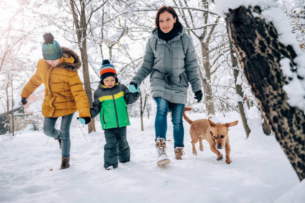 istock Family with dog walking on a fresh snow 1088816542