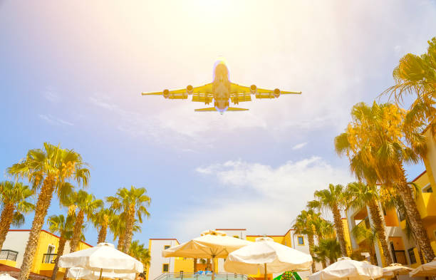 istock large Jumbo jet between palm trees above the resort's rooftops in the sun. Bright open concept beach season and the rest of the seart 1088833188
