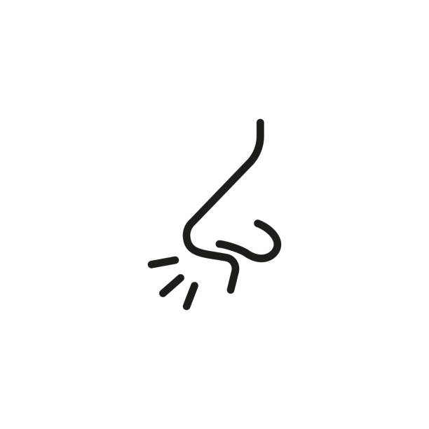 Runny nose line icon Runny nose line icon. Sneezing, illness, infection. Symptom concept. Can be used for topics like flu, allergy, disease nose stock illustrations