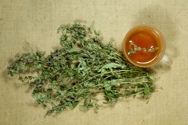 istock Mint, spearmint,. Dry herb for use in alternative medicine, phytotherapy. 1088844032