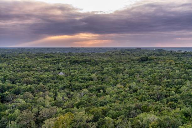 istock Sunset over the jungle in Yucatan, Mexico 1088847212