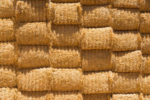 impila il muro di fieno nella campagna rurale australiana. paesaggio agricolo modello astratto non senza soluzione di continuità - hay wheat bale stacking foto e immagini stock