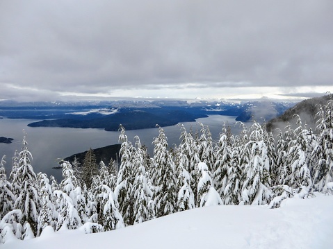 A gorgeous winter landscape on Cypress Mountain overlooking the ocean below. In the distance hikers and snowshoers can see Howe Sound, Sunshine Coast, Bowen and Gambier Island, and the Coast Mountains.