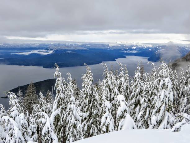 istock A gorgeous winter landscape on Cypress Mountain overlooking the ocean below 1088863230