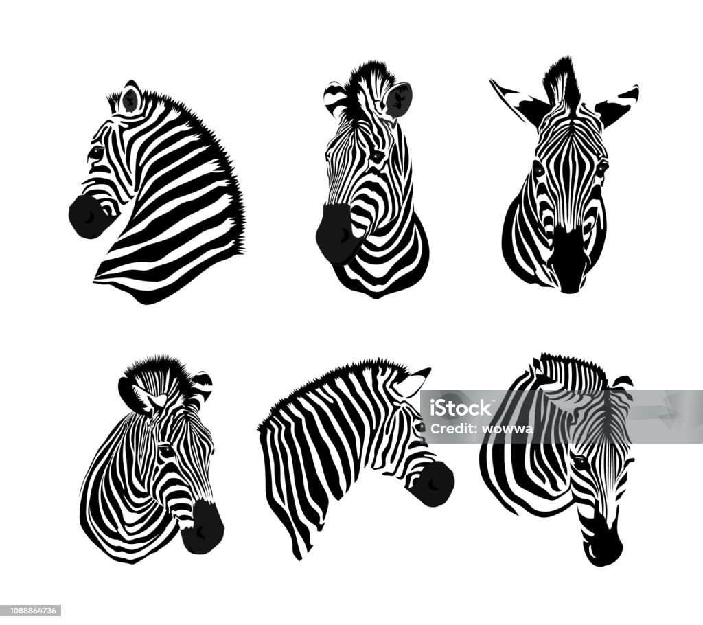 Set of zebras head. Savannah animal ornament. Wild animal texture. Striped black and white. Vector illustration isolated on white background. Zebra stock vector