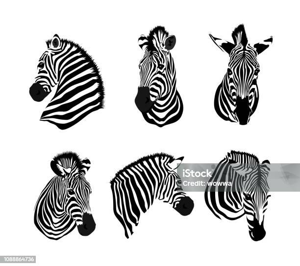Set Of Zebras Head Savannah Animal Ornament Stock Illustration - Download Image Now - Zebra, Head, Animal Head