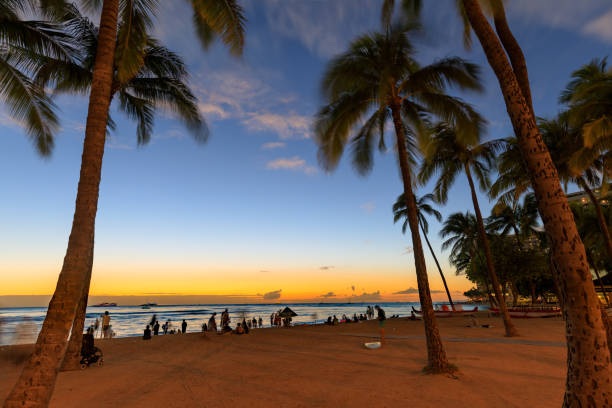 Famous Waikiki Beach, O'ahu, Hawaii - Image