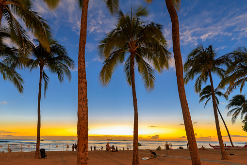 Famous Waikiki Beach, O'ahu, Hawaii - Image