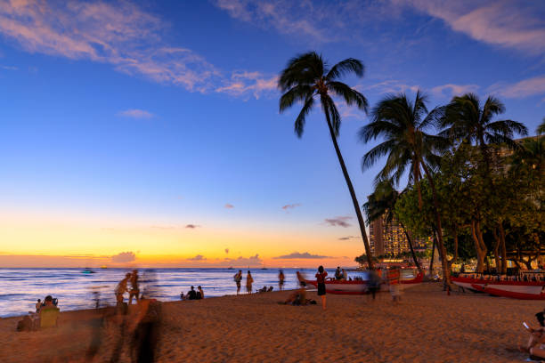 Famous Waikiki Beach, O'ahu, Hawaii - Image