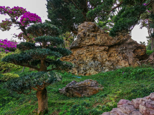 istock Nan Lian Garden, Hong Kong 1088870176