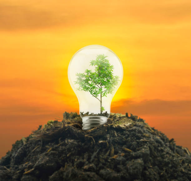 istock Ecological power and energy concept 1088870418