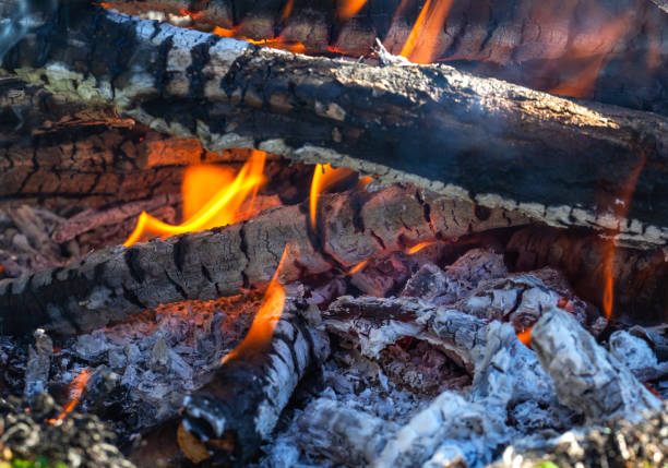 istock Bonfire macro. Burning firewood. Background. Texture. 1088873960