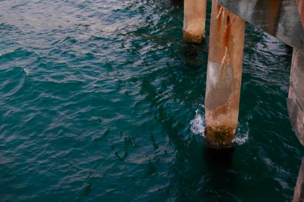istock Pier columns in the Pacific Ocean 1088875528