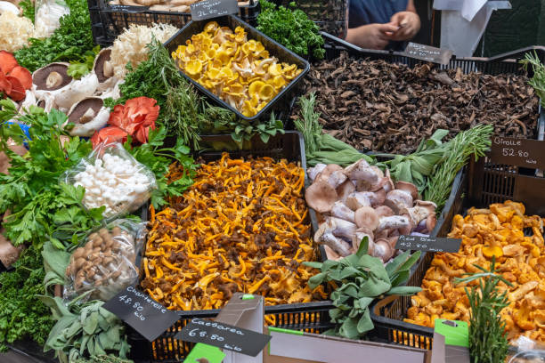 istock Different kinds of mushrooms for sale 1088875780