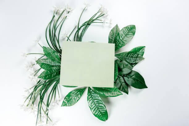istock green sticky note with green plant leaves 1088882504