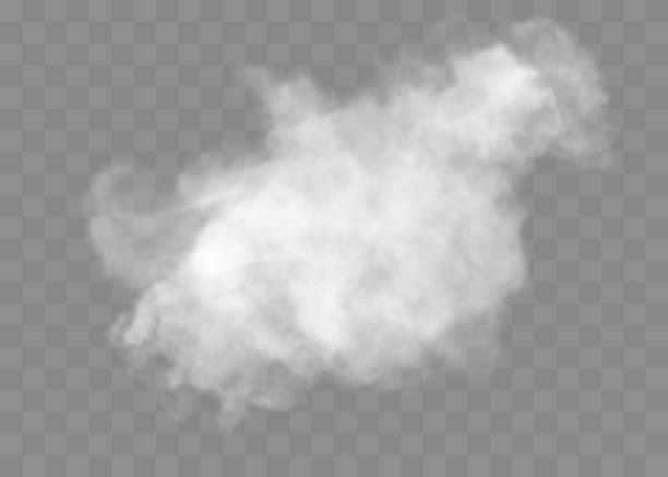 transparente spezialwirkung sticht durch nebel oder rauch hervor. weißer wolkenvektor, nebel oder smog. - dampf stock-grafiken, -clipart, -cartoons und -symbole