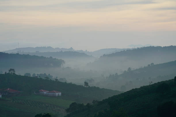 istock Coffee farm in Bao Loc, Vietnam. 1088886594